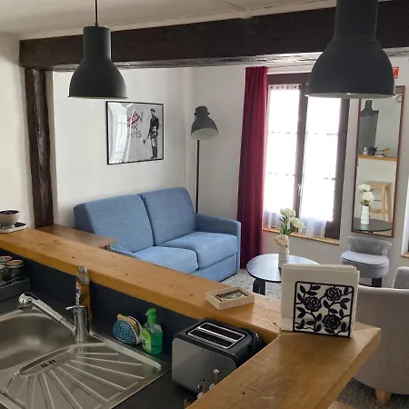 Διαμέρισμα T3 Duplex Hyper Centre Historique Τρουά