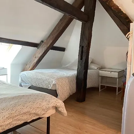 Διαμέρισμα T3 Duplex Hyper Centre Historique Τρουά